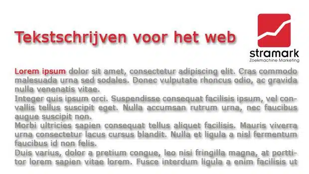 tekstschrijven voor het web